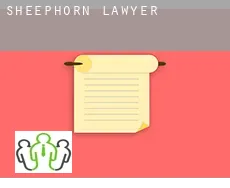 Sheephorn  lawyer
