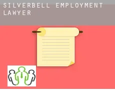 Silverbell  employment lawyer