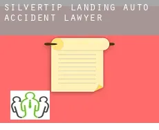Silvertip Landing  auto accident lawyer