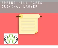 Spring Hill Acres  criminal lawyer