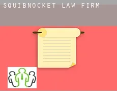 Squibnocket  law firm