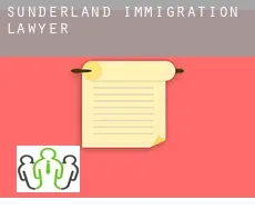 Sunderland  immigration lawyer