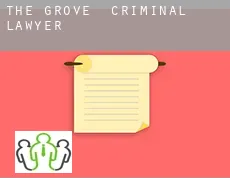 The Grove  criminal lawyer