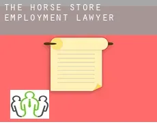 The Horse Store employment lawyer