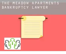 The Meadow Apartments  bankruptcy lawyer