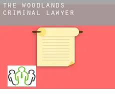 The Woodlands  criminal lawyer