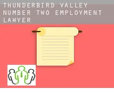 Thunderbird Valley Number Two  employment lawyer