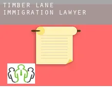 Timber Lane  immigration lawyer