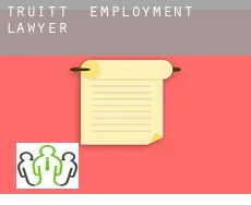 Truitt  employment lawyer