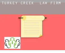 Turkey Creek  law firm
