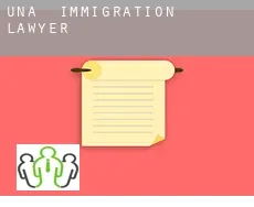 Una immigration lawyer