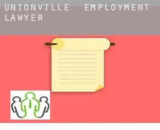Unionville  employment lawyer