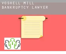Voshell Mill  bankruptcy lawyer