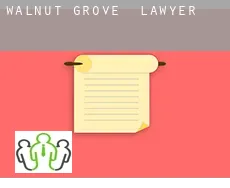Walnut Grove  lawyer