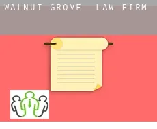 Walnut Grove  law firm