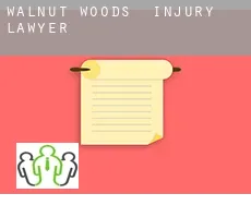 Walnut Woods  injury lawyer