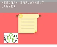 Weedman  employment lawyer