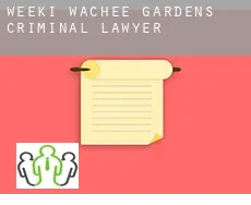 Weeki Wachee Gardens  criminal lawyer