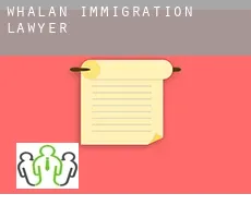 Whalan  immigration lawyer