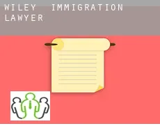 Wiley  immigration lawyer
