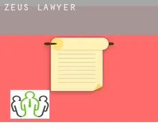 Zeus  lawyer