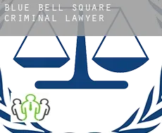 Blue Bell Square  criminal lawyer