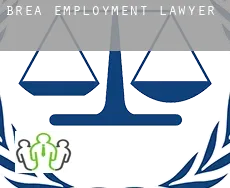 Brea  employment lawyer