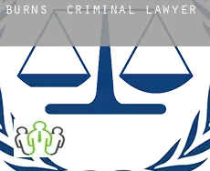 Burns  criminal lawyer