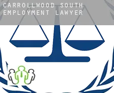Carrollwood South  employment lawyer