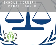 Nichols Corners  criminal lawyer