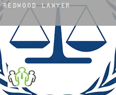 Redwood  lawyer