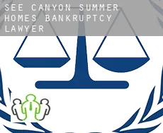 See Canyon Summer Homes  bankruptcy lawyer
