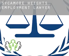 Sycamore Heights  employment lawyer