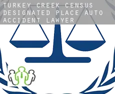 Turkey Creek  auto accident lawyer