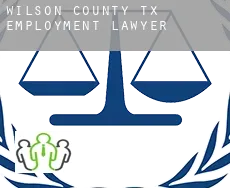 Wilson County  employment lawyer