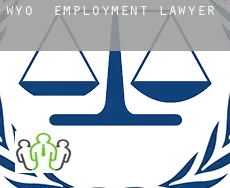 Wyo  employment lawyer
