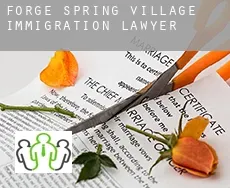 Forge Spring Village immigration lawyer