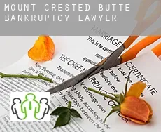 Mount Crested Butte  bankruptcy lawyer
