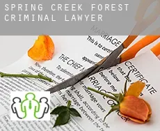 Spring Creek Forest  criminal lawyer