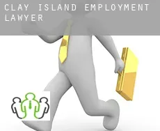 Clay Island  employment lawyer