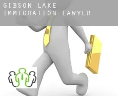 Gibson Lake  immigration lawyer