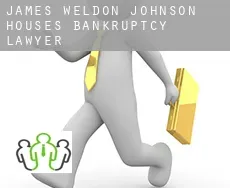 James Weldon Johnson Houses  bankruptcy lawyer
