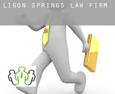 Ligon Springs  law firm