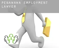 Penawawa  employment lawyer