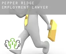 Pepper Ridge  employment lawyer