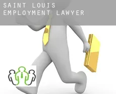 Saint Louis  employment lawyer