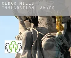 Cedar Mills  immigration lawyer