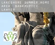 Lakeshore Summer Home Area  bankruptcy lawyer