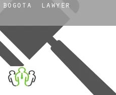 Bogota  lawyer