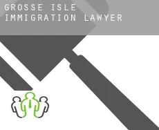 Grosse Isle immigration lawyer